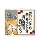 笑顔を運ぶ猫たち ♡ 気持ち伝わる長文（個別スタンプ：34）