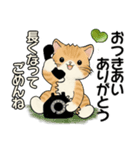 笑顔を運ぶ猫たち ♡ 気持ち伝わる長文（個別スタンプ：38）