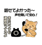笑顔を運ぶ猫たち ♡ 気持ち伝わる長文（個別スタンプ：39）