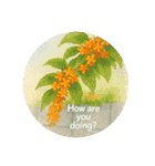 英語やさしい秋色スタンプ Cozy Autumn Set（個別スタンプ：9）