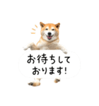 柴犬のウィッシュくん ②（個別スタンプ：32）