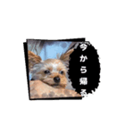 ちゃちゃまるくんんんん（個別スタンプ：3）