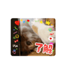 アムちゃんのスタンプ②（個別スタンプ：2）