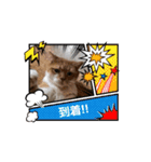 アムちゃんのスタンプ②（個別スタンプ：9）