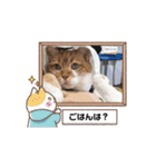 アムちゃんのスタンプ②（個別スタンプ：13）