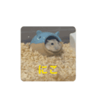 まめころランド（個別スタンプ：2）