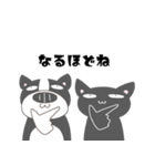 明日から本気出す【フレンチブルと黒猫】（個別スタンプ：12）