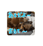 動くよ！だいすきいちびー（個別スタンプ：1）