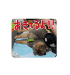 動くよ！だいすきいちびー（個別スタンプ：2）