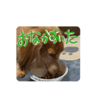 動くよ！だいすきいちびー（個別スタンプ：3）