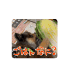 動くよ！だいすきいちびー（個別スタンプ：4）