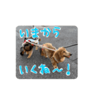 動くよ！だいすきいちびー（個別スタンプ：8）