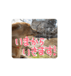 動くよ！だいすきいちびー（個別スタンプ：10）