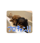 動くよ！だいすきいちびー（個別スタンプ：12）