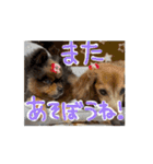 動くよ！だいすきいちびー（個別スタンプ：15）