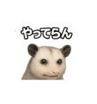 オポッサムつぶやきpart1（個別スタンプ：14）