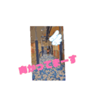 みゆうまろスタンプ4（個別スタンプ：1）