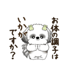 B＆W 動くシーズー犬 2025 「丁寧な長文」（個別スタンプ：6）