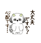 B＆W 動くシーズー犬 2025 「丁寧な長文」（個別スタンプ：7）