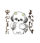B＆W 動くシーズー犬 2025 「丁寧な長文」（個別スタンプ：8）