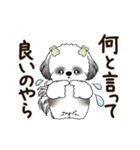 B＆W 動くシーズー犬 2025 「丁寧な長文」（個別スタンプ：11）