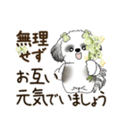 B＆W 動くシーズー犬 2025 「丁寧な長文」（個別スタンプ：12）