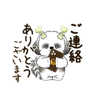 B＆W 動くシーズー犬 2025 「丁寧な長文」（個別スタンプ：13）