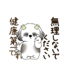 B＆W 動くシーズー犬 2025 「丁寧な長文」（個別スタンプ：16）