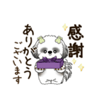 B＆W 動くシーズー犬 2025 「丁寧な長文」（個別スタンプ：17）