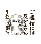 B＆W 動くシーズー犬 2025 「丁寧な長文」（個別スタンプ：23）