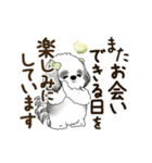 B＆W 動くシーズー犬 2025 「丁寧な長文」（個別スタンプ：24）
