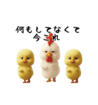 にわとり＆ひよこのおスタンプ3（個別スタンプ：9）