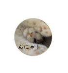 ポペスタンプ_2（個別スタンプ：7）