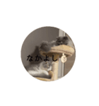 ポペスタンプ2（個別スタンプ：6）