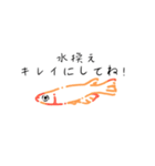 AIメダカのみかたスタンプ（個別スタンプ：2）