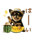 ⚡飛び出すチワワの「夏」の毎日（個別スタンプ：1）