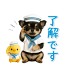 ⚡飛び出すチワワの「夏」の毎日（個別スタンプ：2）