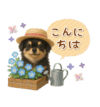 ⚡飛び出すチワワの「夏」の毎日（個別スタンプ：6）