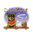 ⚡飛び出すチワワの「夏」の毎日（個別スタンプ：7）