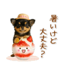 ⚡飛び出すチワワの「夏」の毎日（個別スタンプ：10）