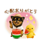 ⚡飛び出すチワワの「夏」の毎日（個別スタンプ：11）