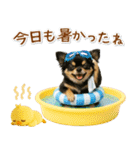 ⚡飛び出すチワワの「夏」の毎日（個別スタンプ：15）