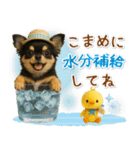 ⚡飛び出すチワワの「夏」の毎日（個別スタンプ：19）