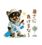 ⚡飛び出すチワワの「夏」の毎日（個別スタンプ：20）