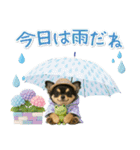 ⚡飛び出すチワワの「夏」の毎日（個別スタンプ：21）