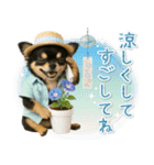 ⚡飛び出すチワワの「夏」の毎日（個別スタンプ：24）