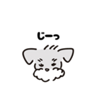シュナウザーベティー(bätiee)（個別スタンプ：3）