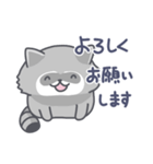アライグマの日常色々（個別スタンプ：2）