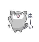 アライグマの日常色々（個別スタンプ：6）