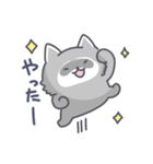 アライグマの日常色々（個別スタンプ：14）